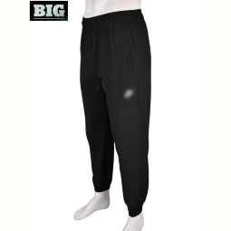 Спортивные брюки BIG 4033-A03-1 black