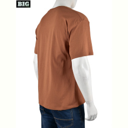 Футболка BIG 4072-M04-3 brown