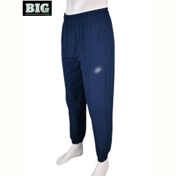 Спортивные брюки BIG 4033-A03-2 navy