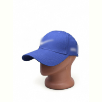 Кепка Королева 14-41 blue