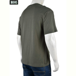 Футболка BIG 4072-M04-4 khaki