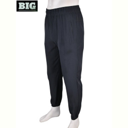 Спортивные брюки BIG 4033-A03-3 grey