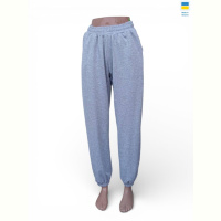 Спортивные брюки Sport style 10055 св.сірий