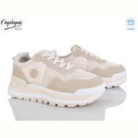 Кроссовки Dageni MN258-3