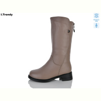 Сапоги Trendy DH3902-3