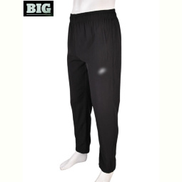 Спортивные брюки BIG 4033-A04-1 black