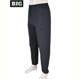 Спортивные брюки BIG 4033-A04-3 grey