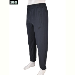Спортивные брюки BIG 4033-A04-3 grey