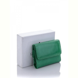 Кошелек GLAMORTA DV01-703 green