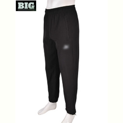 Спортивные брюки BIG 4033-A06-1 black