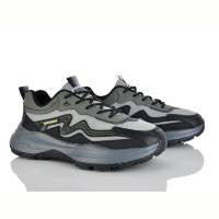 Кроссовки Lion-Lu A0065-2