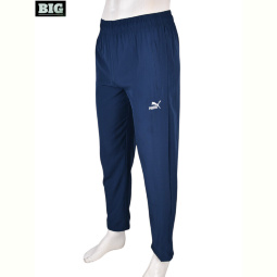 Спортивные брюки BIG 4033-A06-2 navy