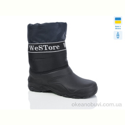 Сапоги из пены SANLIN Жіночий чобіт Westore
