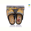 Тапки Active 899 жовтий