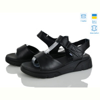 Босоножки Fat Fox-Tamei 509-12