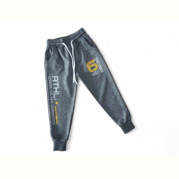 Спортивные брюки Kids-modnik 6041 сірий