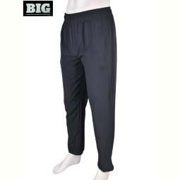 Спортивные брюки BIG 4033-A12-3 grey