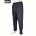 Спортивные брюки BIG 4033-A12-3 grey