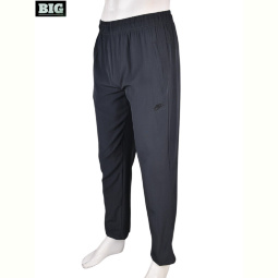 Спортивные брюки BIG 4033-A12-3 grey