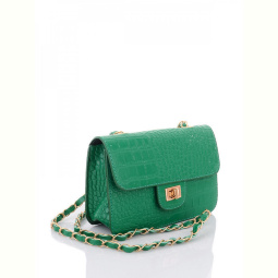 Сумка David Polo 2109-3 green