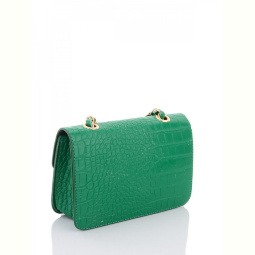 Сумка David Polo 2109-3 green