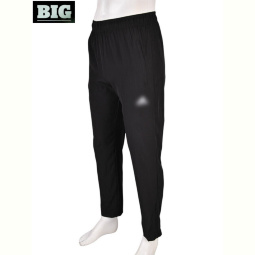 Спортивные брюки BIG 4033-A02-1 black