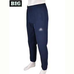 Спортивные брюки BIG 4033-A02-2 navy