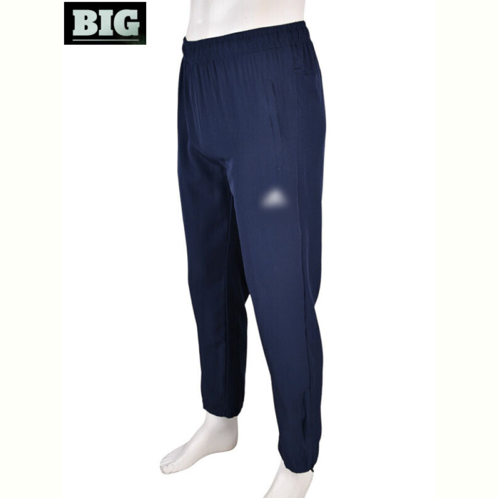 Спортивные брюки BIG 4033-A02-2 navy