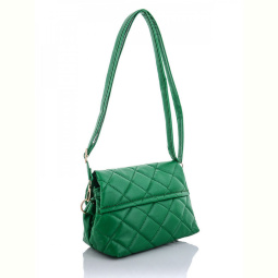 Сумка David Polo 2038-7 green