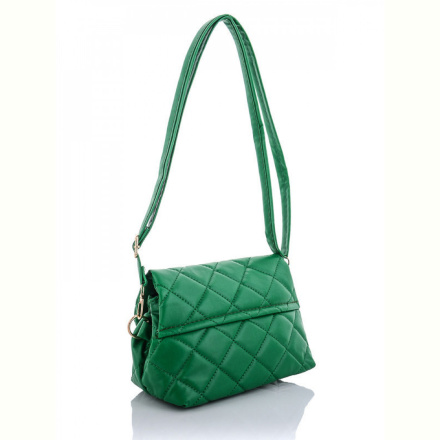 Сумка David Polo 2038-7 green