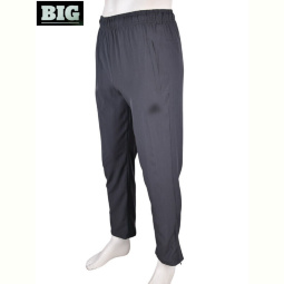 Спортивные брюки BIG 4033-A02-3 grey