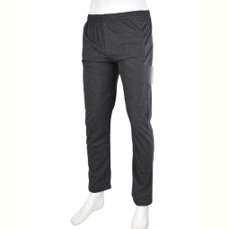 Спортивные брюки Banko N007-3 grey