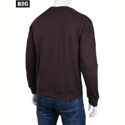 Кофта BIG 3918-01-4 brown