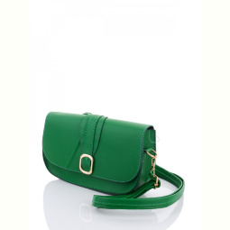 Сумка David Polo 2121-9 green