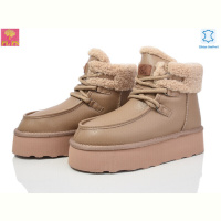 Ботинки PLPS 5854-22 Camel