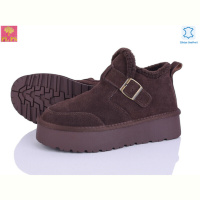 Ботинки PLPS A3308 brown