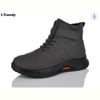 Ботинки Trendy DB8282-9