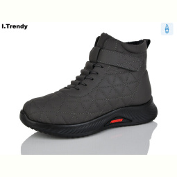 Ботинки Trendy DB8282-9