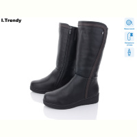 Сапоги Trendy 9003-1
