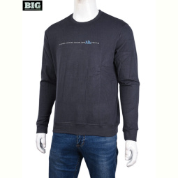 Кофта BIG 3918-02-2 grey