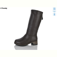Сапоги Trendy DH335-27