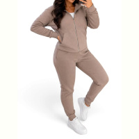Спортивный костюм Alisa Brand 102 рз3646 мокко