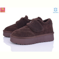 Туфли PLPS A3309 brown