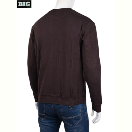 Кофта BIG 3918-05-3 brown