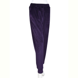 Спортивные брюки Banko N009-3 violet