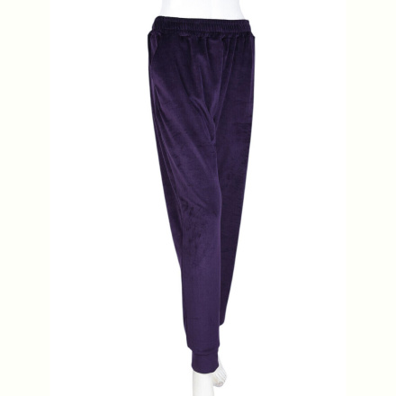 Спортивные брюки Banko N009-3 violet