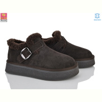 Туфли PLPS-Nanachka GF2651 brown
