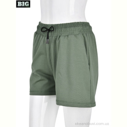 Шорты BIG 4042-3 green