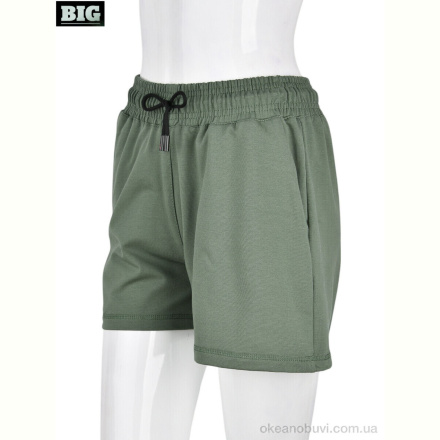 Шорты BIG 4042-3 green