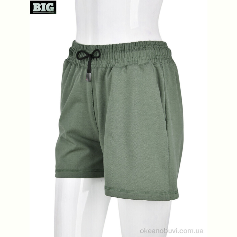 Шорты BIG 4042-3 green